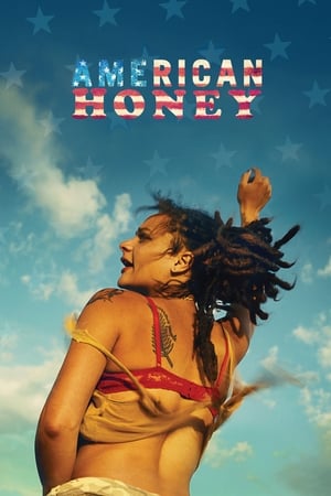 American Honey (2016) Hindi Dual Audio 500MB - Movierulz