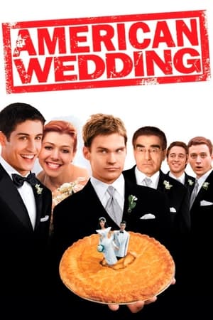 American Wedding (2003) Hindi Dual Audio 300MB - Movierulz