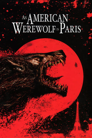 An American Werewolf in Paris 1997 Hindi Dual Audio 300MB - Movierulz