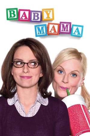 Baby Mama (2008) Hindi Dual Audio [900MB] - Movierulz