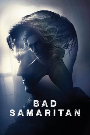 Bad Samaritan (2018) Hindi Dual Audio 400MB - Movierulz