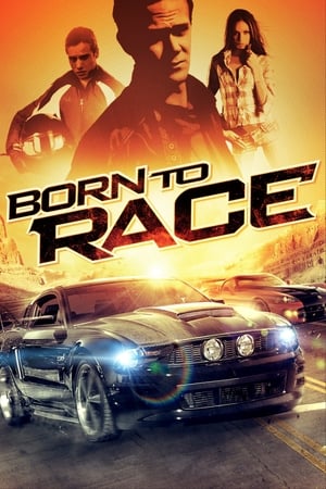 Born to Race 2011 Hindi Dual Audio 300MB - Movierulz