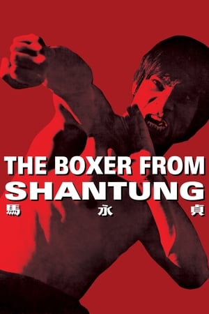 Boxer from Shantung (1972) Hindi Dual Audio 400MB - Movierulz