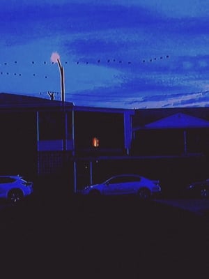 Break (2019) Hindi Dual Audio [900MB] - Movierulz