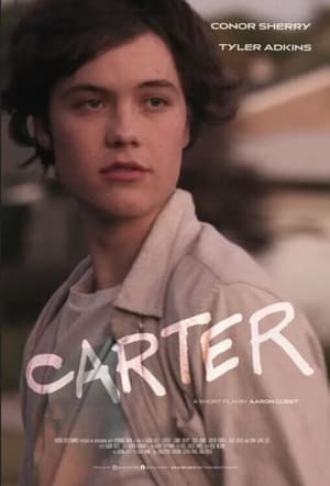 Carter (2022) Hindi Dual Audio – - Movierulz