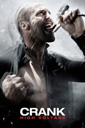 Crank: High Voltage (2009) Hindi Dual Audio 300MB - Movierulz