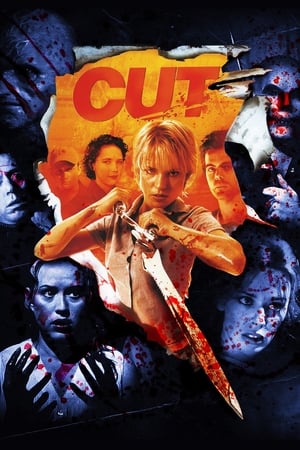 Cut (2000) Hindi Dual Audio 300MB - Movierulz