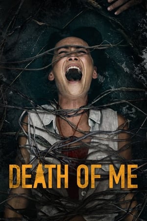 Death of Me (2020) Hindi Dual Audio [900MB] - Movierulz