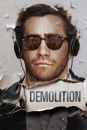 Demolition 2015 Dual Audio Hindi 300MB ESubs - Movierulz