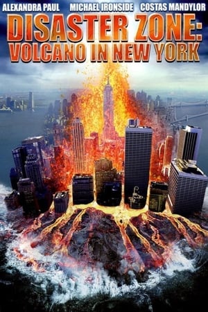 Disaster Zone Volcano in New York 2006 Hindi Dual Audio [860MB] - Movierulz