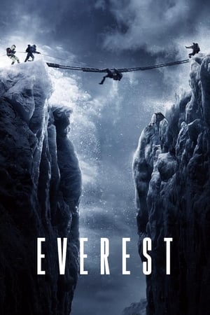 Everest (2015) Hindi Dual Audio [1.3GB] - Movierulz