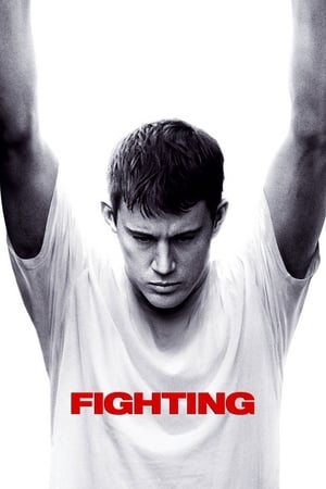 Fighting (2009) Hindi Dual Audio [1.1GB] - Movierulz