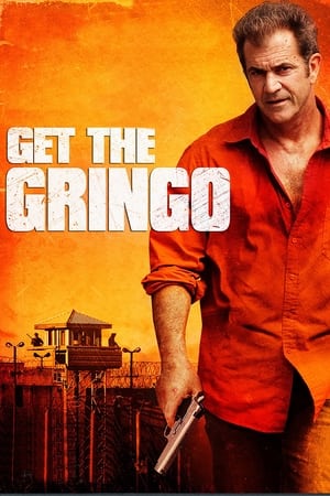 Get the Gringo (2012) Hindi Dual Audio 300MB - Movierulz