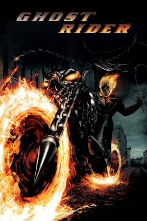Ghost Rider (2007) Hindi Dual Audio 400MB - Movierulz
