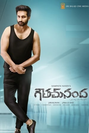 Goutham Nanda (2017) (Hindi – Telugu) Dual Audio – - Movierulz