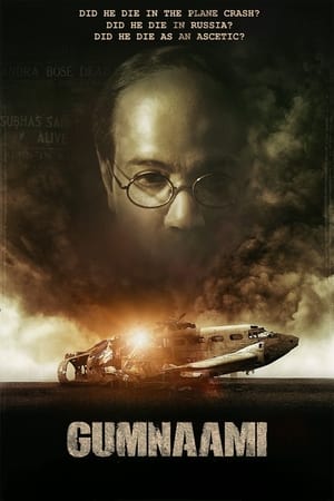 Gumnaami (2019) Hindi Movie - [400MB] - Movierulz