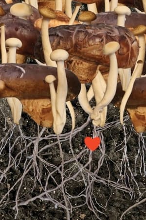 Heaven (2022) Hindi Movie – - Movierulz