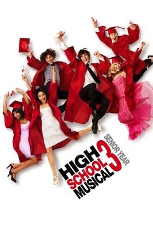 High School Musical 3 (2008) Hindi Dual Audio 350MB - Movierulz