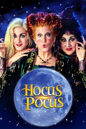 Hocus Pocus 1993 Hindi Dual Audio [850MB] - Movierulz