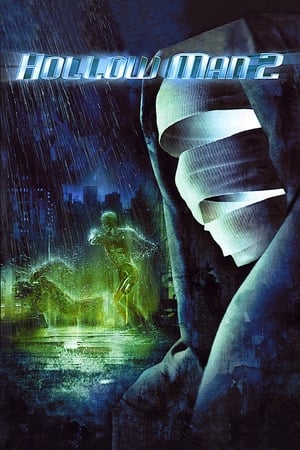 Hollow Man 2 2006 100mb Hindi Dual Audio movie Download