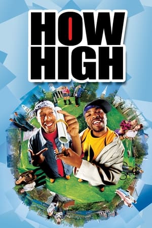 How High (2001) Hindi Dual Audio [800MB] - Movierulz
