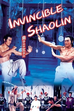 Invincible Shaolin 1978 Hindi Dual Audio [1.3GB] - Movierulz