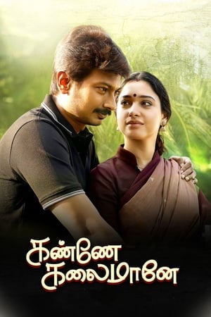 Kanne Kalaimaane 2019 (Hindi -Tamil) Dual Audio [1GB] - Movierulz