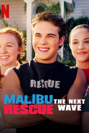 Malibu Rescue: The Next Wave (2020) Hindi Dual Audio [640MB] - Movierulz