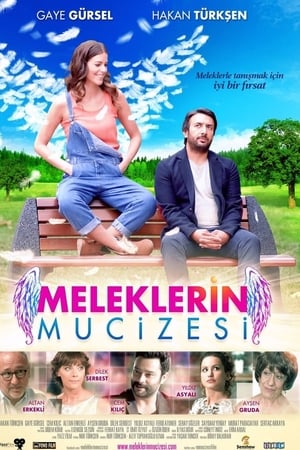 Meleklerin mucizesi (2014) Hindi Dual Audio [600MB] - Movierulz