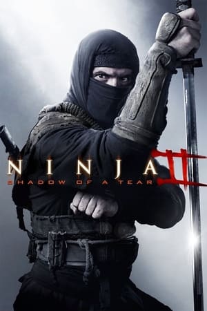 Ninja Shadow of a Tear 2013 Hindi Dual Audio 300MB - Movierulz
