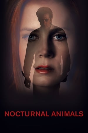 Nocturnal Animals (2016) Hindi Dual Audio 380MB - Movierulz