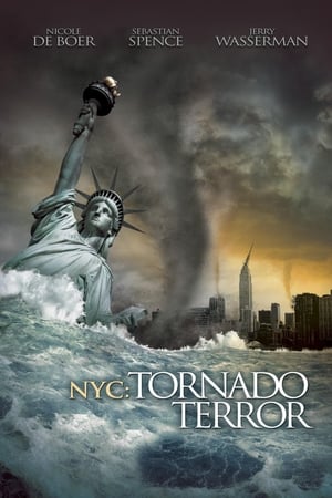 NYC Tornado Terror 2008 Hindi Dual Audio 300MB - Movierulz