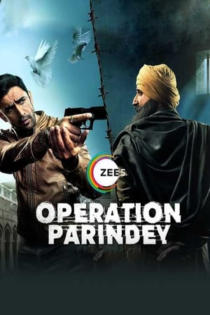 Operation Parindey 2020 Hindi Movie [500MB] - Movierulz