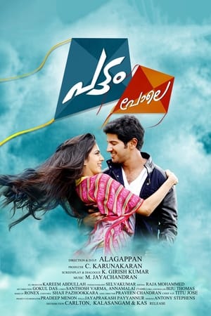 Pattam Pole (2013) (Hindi – Malayalam) Dual Audio [1.2GB] - Movierulz