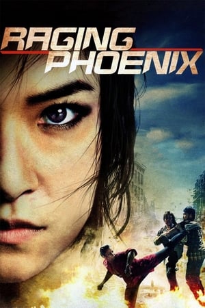Raging Phoenix (2009) Hindi Dual Audio [1GB] - Movierulz