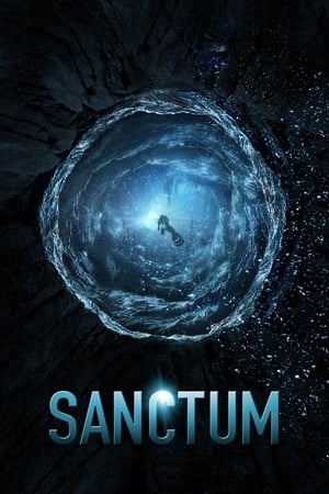 Sanctum (2011) Hindi Dual Audio 400MB - Movierulz