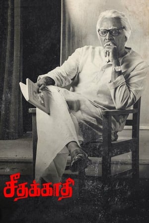 Seethakaathi (2018) Hindi Dubbed [1.1GB] - Movierulz