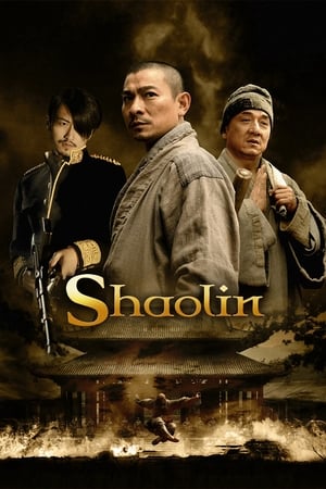 Shaolin (2011) Hindi Dual Audio 400MB - Movierulz