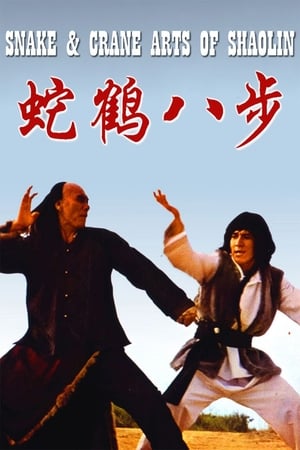 Snake and Crane Arts of Shaolin 1978 Hindi Dual Audio [980MB] - Movierulz