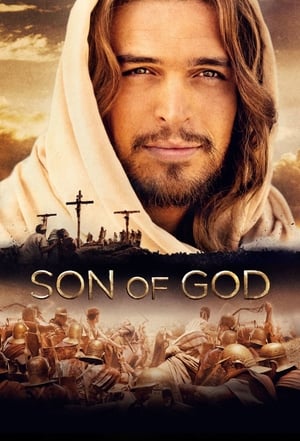 Son of God 2014 Hindi Dual Audio 450MB - Movierulz