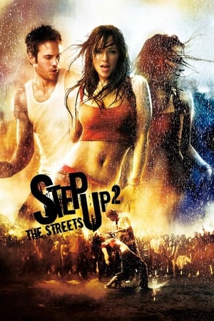 Step Up 2 The Streets 2008 Hindi Dual Audio 300MB - Movierulz