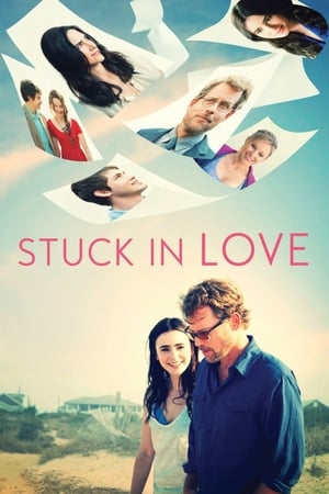 Stuck in Love (2012) Hindi Dual Audio 300MB - Movierulz