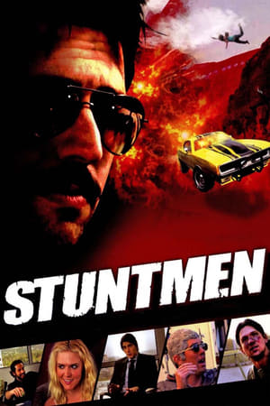 Stuntmen 2009 Hindi Dual Audio 300MB - Movierulz