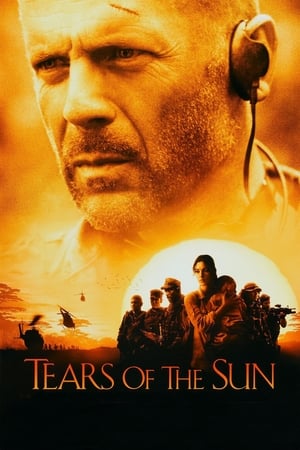 Tears of the Sun 2003 Hindi Dual Audio 360MB