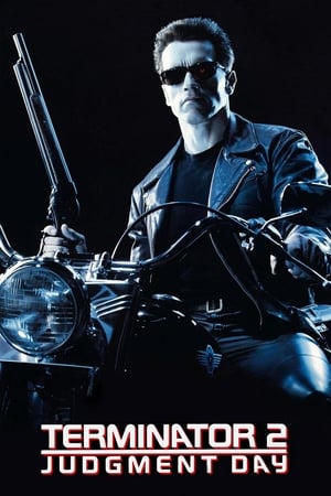 Terminator 2 (1991) Hindi Dual Audio [950MB] - Movierulz