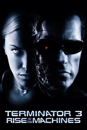 Terminator 3: Rise of the Machines (2003) Hindi Dual Audio [850MB] - Movierulz
