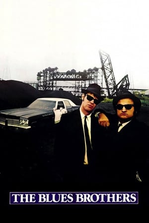 The Blues Brothers (1980) Hindi Dual Audio Movie - 1.2GB - Movierulz