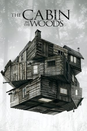 The Cabin in the Woods (2011) Hindi Dual Audio 300MB - Movierulz
