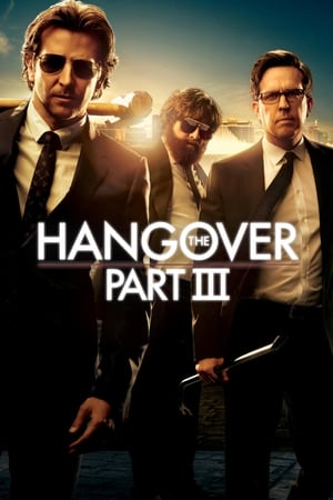 The Hangover Part III (2013) Hindi Dual Audio 300MB - Movierulz
