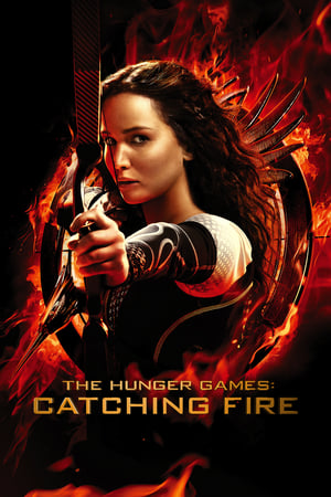 The Hunger Games Catching Fire 2013 Hindi Dual Audio 480MB - Movierulz